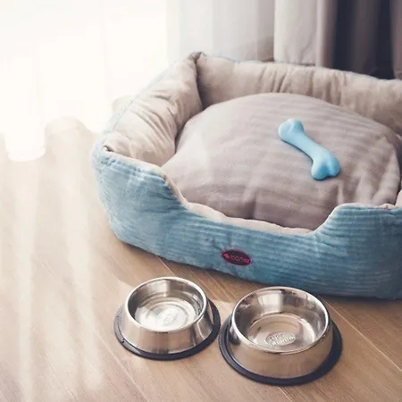 Oca Oriental Hotel 4*