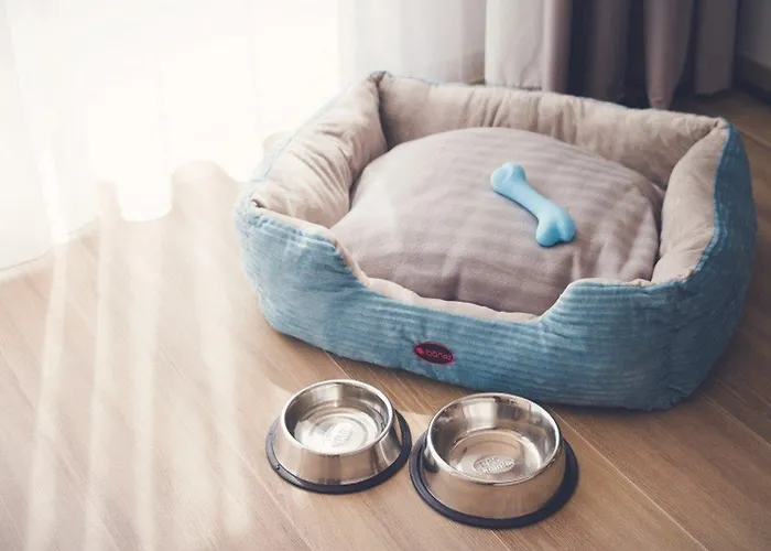 Oca Oriental 호텔 4*