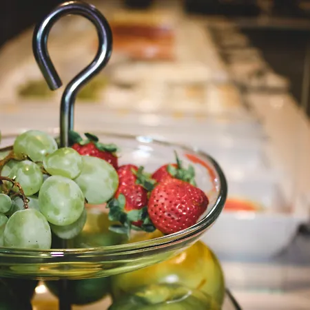 Отель Oca Oriental 4*